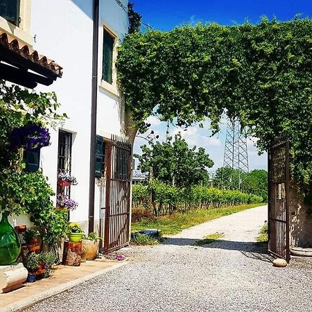 לינה וארוחת בוקר ורונה Corte Le Vigne מראה חיצוני תמונה